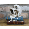 Skull on Books Decoration