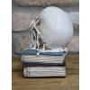 Skull on Books Decoration