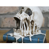 Skull on Books Decoration