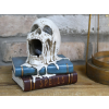 Skull on Books Decoration