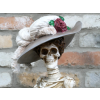 Skeleton Bust
