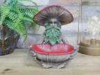 Mushroom Man