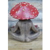 Mushroom Man