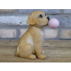 Bubblegum Dog