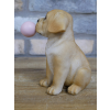 Bubblegum Dog