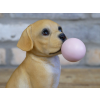 Bubblegum Dog