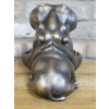 Big Mouth Hippo