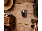 Dog Coat Hook