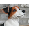Jack Russell