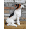 Jack Russell