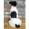 Jack Russell