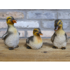 Set Of 3 Ducks