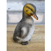 Set Of 3 Ducks