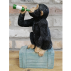 Drunken Monkey