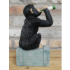 Drunken Monkey
