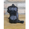 Sitting Woman