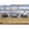 Tortoise Pot Stands (Set of 3)