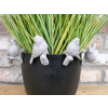 Birds Pot Hangers (Set of 4)