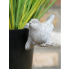 Birds Pot Hangers (Set of 4)