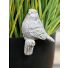 Birds Pot Hangers (Set of 4)