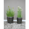 Set Of 2 Planters