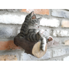 Cats On A Branch