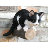 Cat On A Branch
