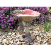 Squirrel On A Mushroom