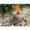 Tweeting Bird