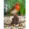 Tweeting Bird