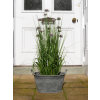 Planter