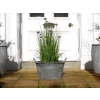 Planter