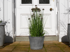 Planter