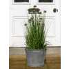 Planter