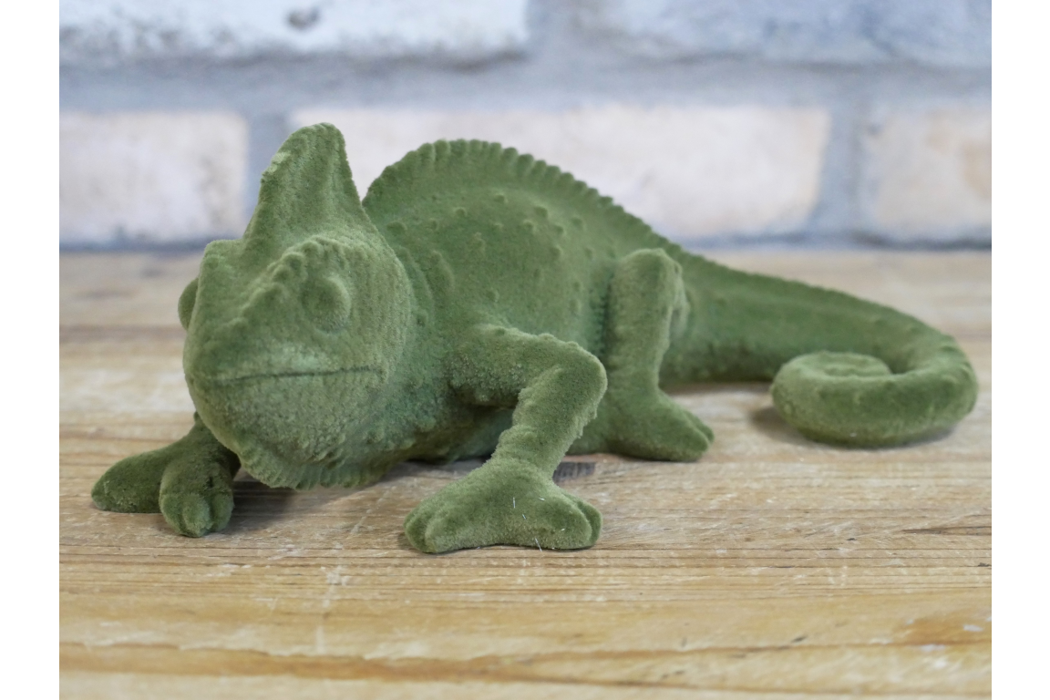 Geko