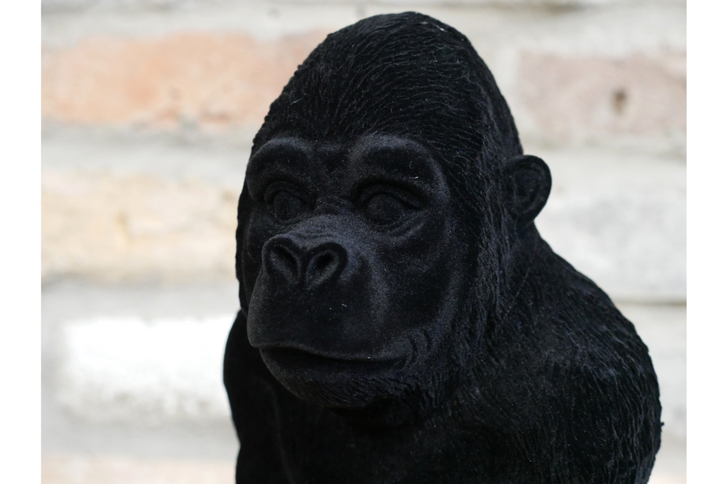 Gorilla