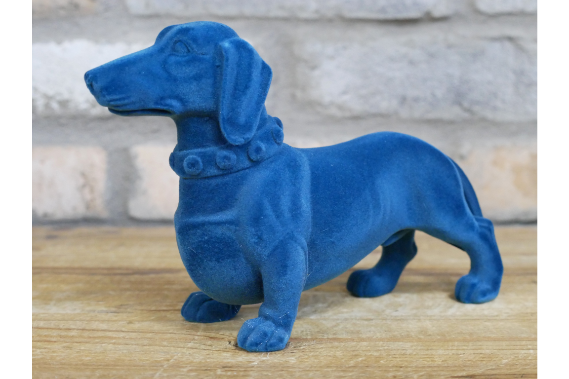 Blue Dachshund Dog