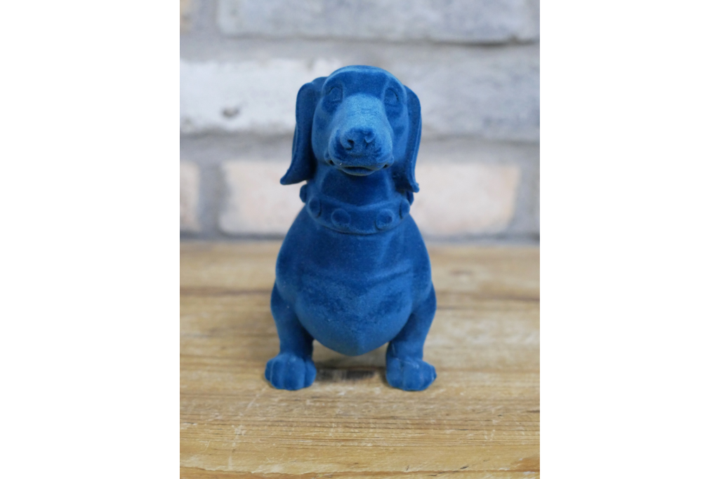Blue Dachshund Dog