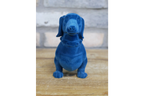 Blue Dachshund Dog