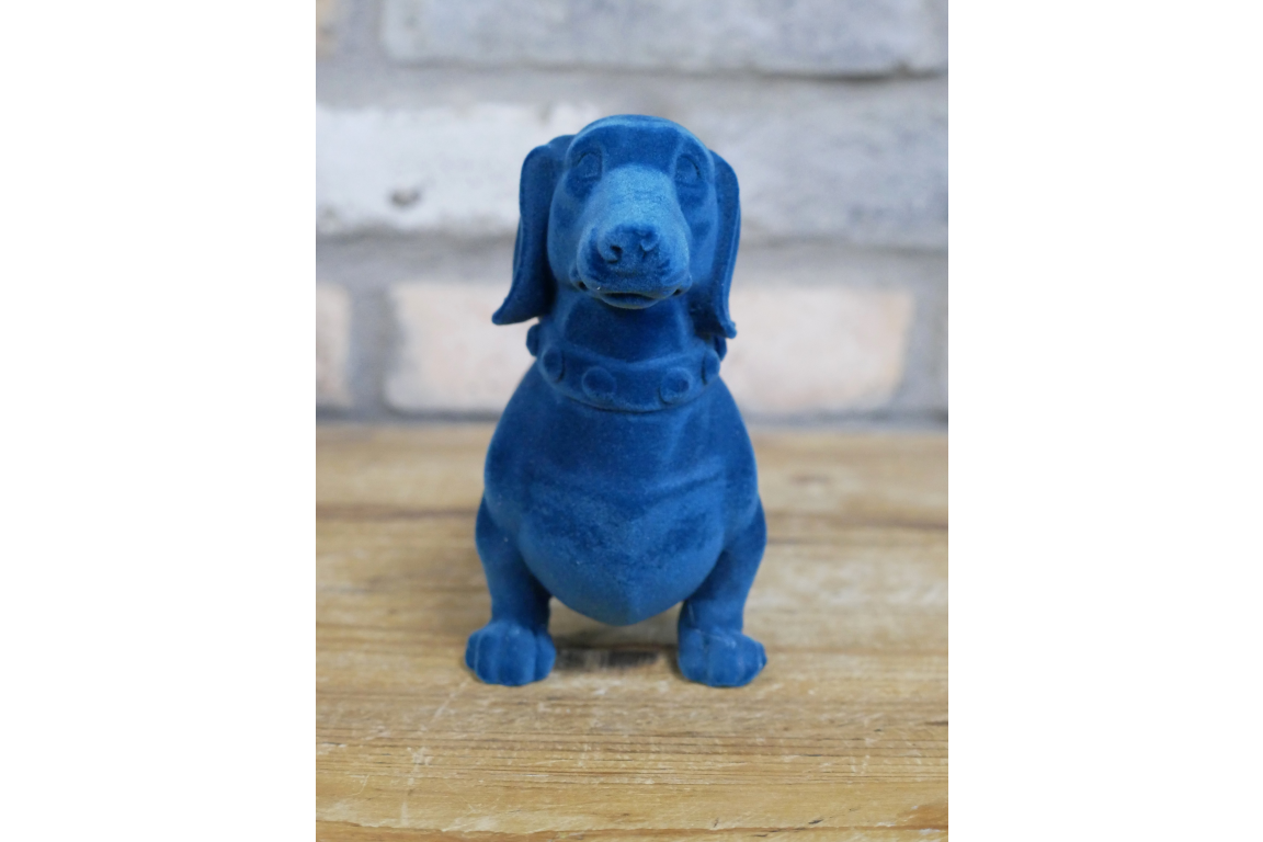 Blue Dachshund Dog