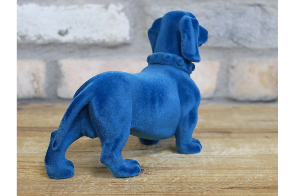 Blue Dachshund Dog