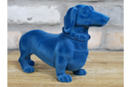 Blue Dachshund Dog