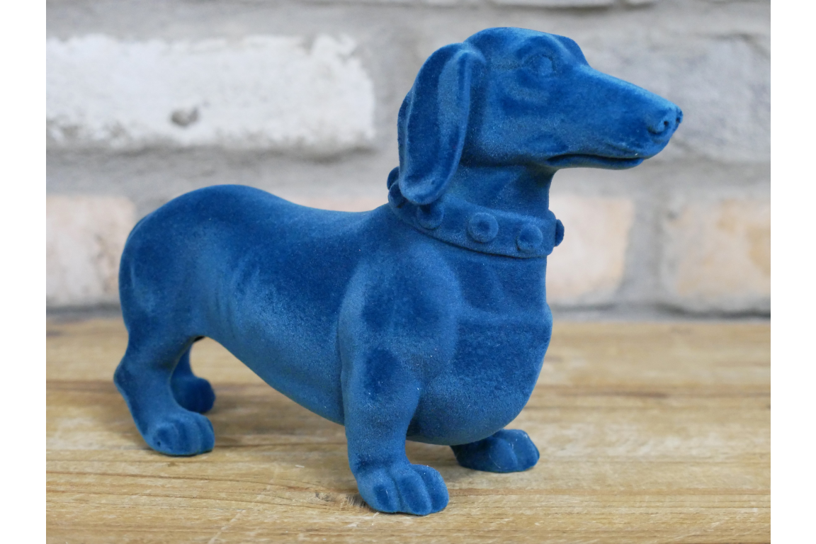 Blue Dachshund Dog