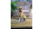 Sitting Dog