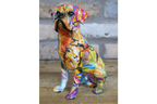 Sitting Dog