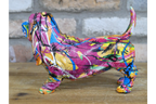 Bassett Hound