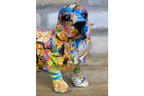 Bassett Hound