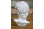 Roman Bust