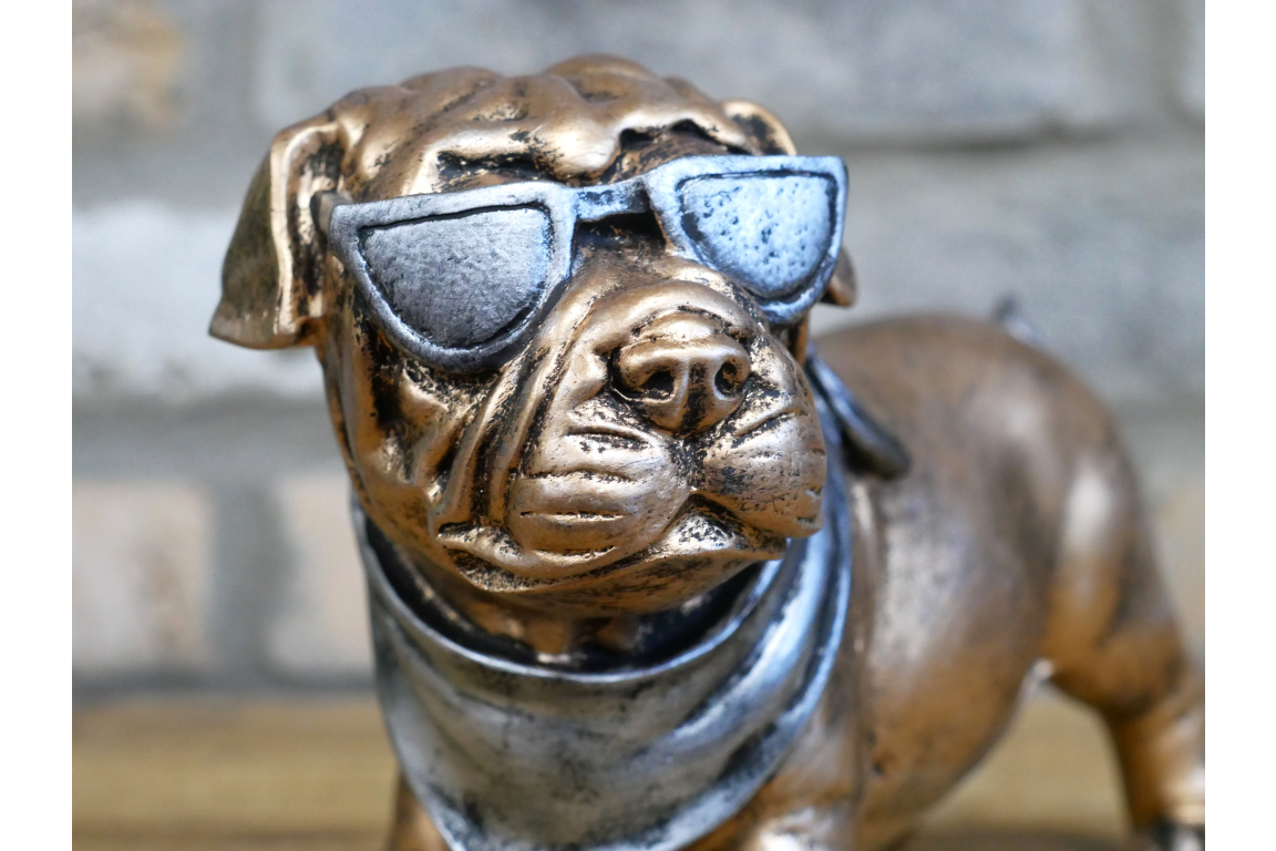 Dog With Shades