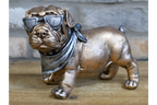 Dog With Shades